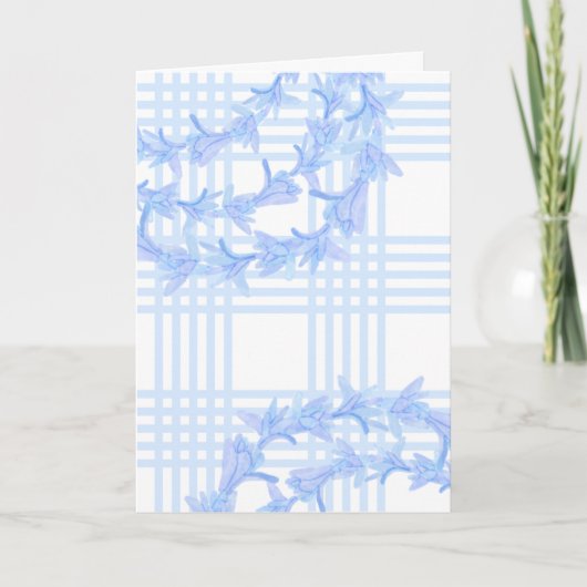 トバロースパラカプリント カード (正面)