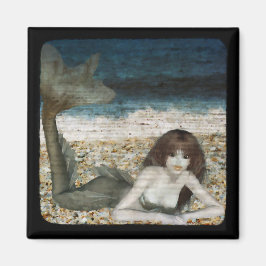 トパチア磁石 マグネット