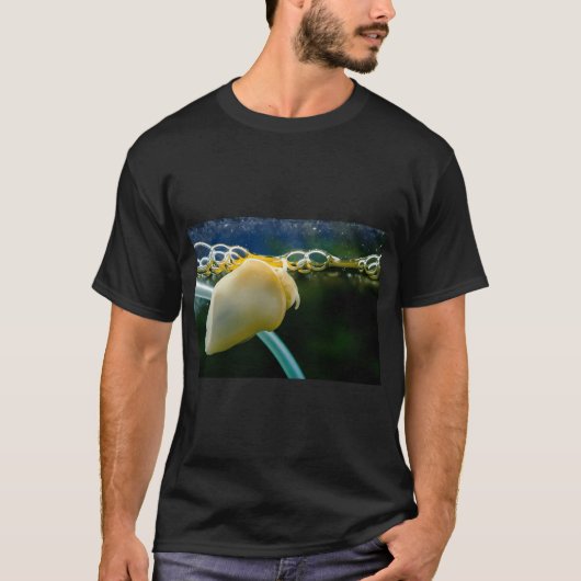 トパーズブルー グッピー Tシャツ (正面)