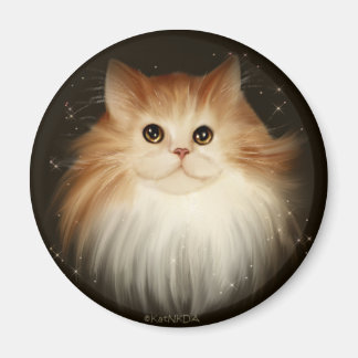 トパーズ磁石 マグネット