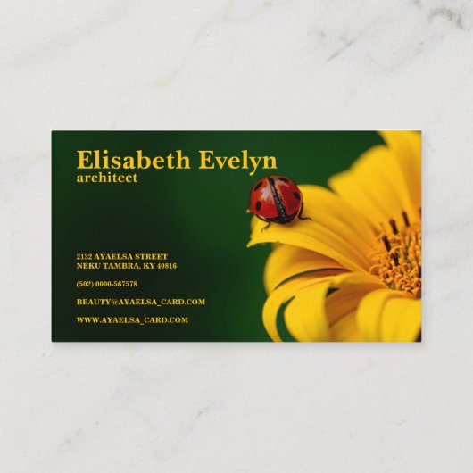 トビムシムシ 名刺 (裏面)