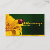 トビムシムシ 名刺 (正面)