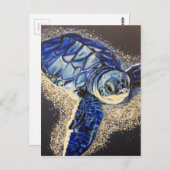 トビンザベビーウミガメ ポストカード (正面/裏面)