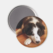 トビー2 マグネット (正面/裏面)