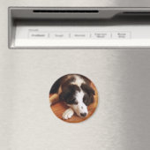 トビー2 マグネット (インサイチュ (食洗機))