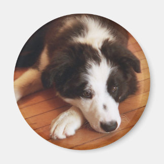 トビー2 マグネット