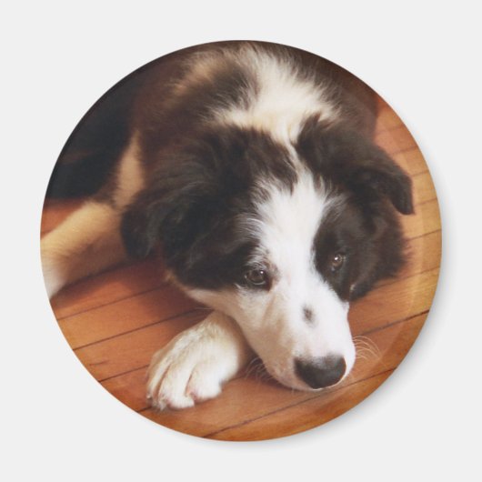 トビー2 マグネット (正面)