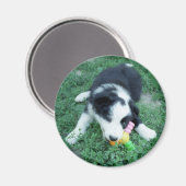 トビー3 マグネット (正面/裏面)