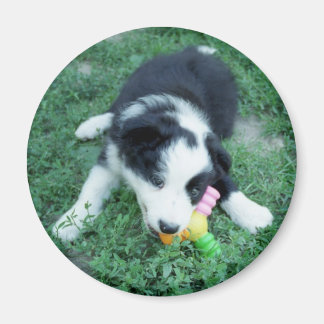 トビー3 マグネット