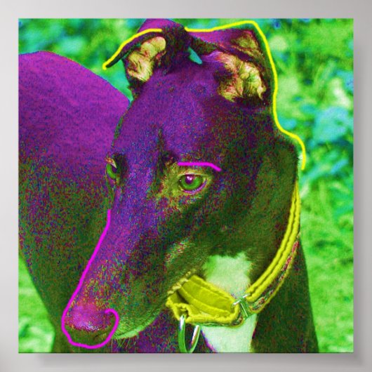 トビー ポスター (正面)