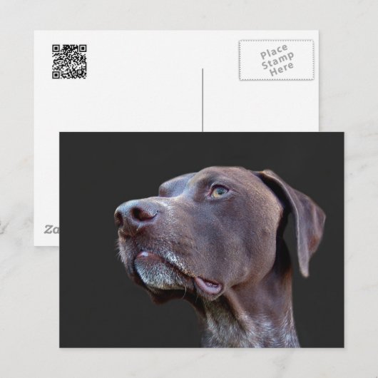 トビー ポストカード (正面/裏面)