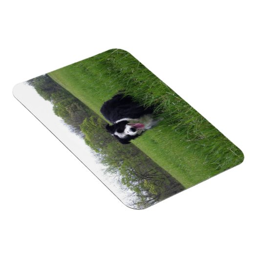 トビー マグネット (右側)