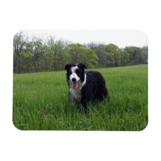 トビー マグネット