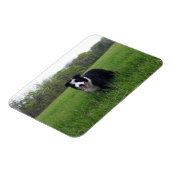 トビー マグネット (左側)