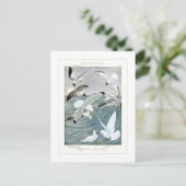 トビ ポストカード (スタンド正面)