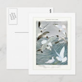 トビ ポストカード (正面/裏面)