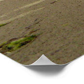 トフィノビーチ ポスター (角)