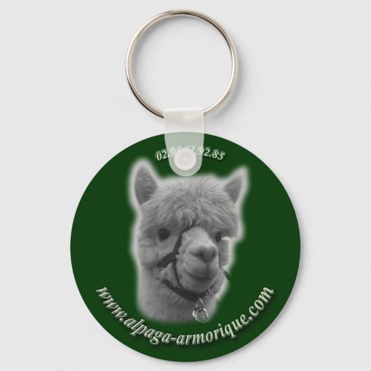 トフォーラパガ キーホルダー (正面)