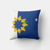 トペカ国旗(カンザス州) クッション (裏面)