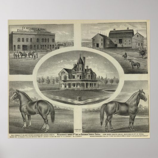 トペカ・ベネッタン・ソン ポスター (正面)