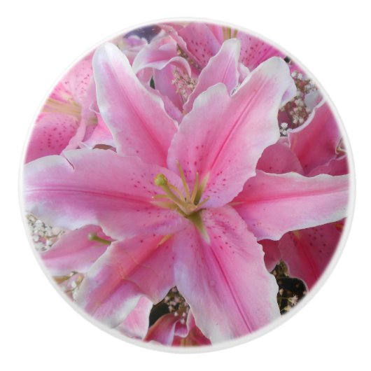 トマシナ セラミックノブ (正面)