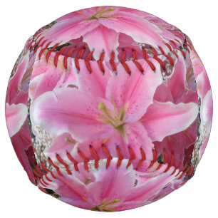 トマシナ ソフトボール