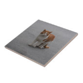 トマスジンジャーと白猫 タイル (側面)