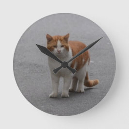 トマスジンジャーと白猫 ラウンド壁時計