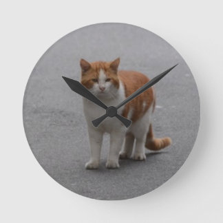 トマスジンジャーと白猫 ラウンド壁時計