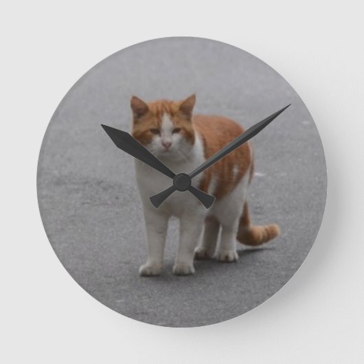 トマスジンジャーと白猫 ラウンド壁時計 (正面)