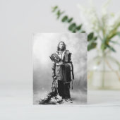 トマス・アメリカン・ホース ポストカード (スタンド正面)