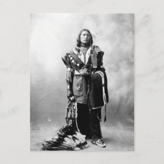 トマス・アメリカン・ホース ポストカード