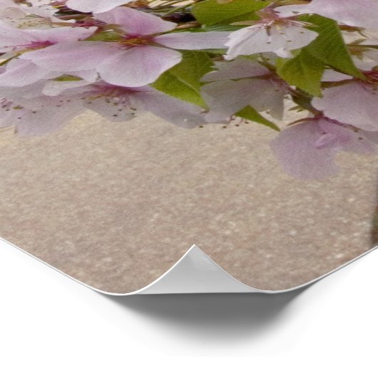 トマス・ジェファーソン記念花さくらんぼ ポスター (角)