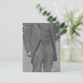 トマス・ハーディ ポストカード (スタンド正面)