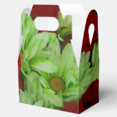 トマス フェイバーボックス (オープン)