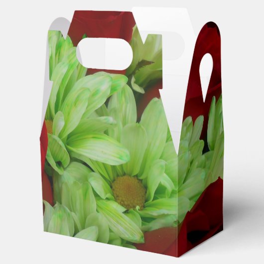 トマス フェイバーボックス (オープン)