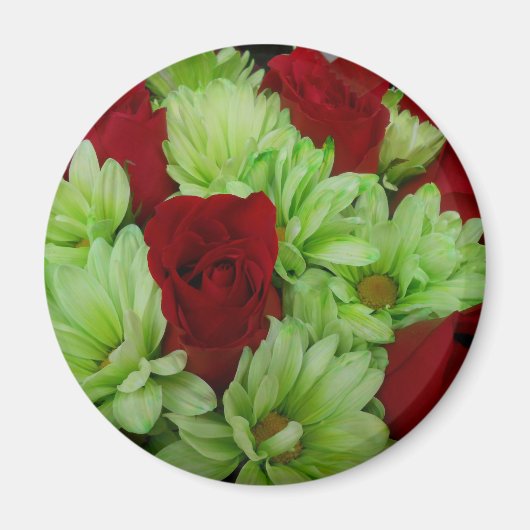 トマス マグネット (正面)