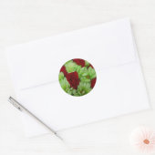 トマス ラウンドシール (封筒)