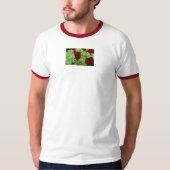 トマス Tシャツ (正面)