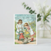 トマスHハラーセントラルドライグッズ店 ポストカード (スタンド正面)