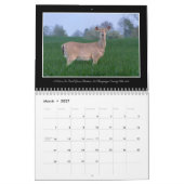 トマスMinutolo著オハイオ州美しい2017のカレンダー カレンダー (3月 2027)