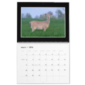 トマスMinutolo著シカ2018の月例カレンダー カレンダー (3月 2026)