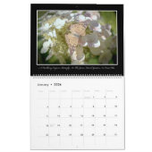 トマスMinutolo著蝶2017カレンダー カレンダー (1月 2026)