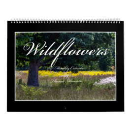 トマスMinutolo著野生の花2017のカレンダー カレンダー