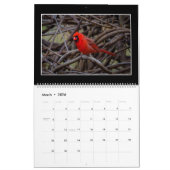 トマスMinutolo著（鳥）ショウジョウコウカンチョウ2017の月例カレンダー カレンダー (3月 2026)