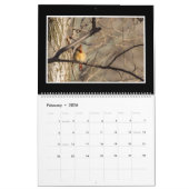 トマスMinutolo著（鳥）ショウジョウコウカンチョウ2017の月例カレンダー カレンダー (2月 2026)