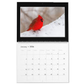 トマスMinutolo著（鳥）ショウジョウコウカンチョウ2017の月例カレンダー カレンダー (1月 2026)