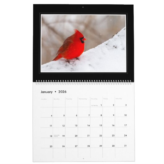 トマスMinutolo著(鳥)ショウジョウコウカンチョウ2018の月例カレンダー カレンダー (1月 2026)