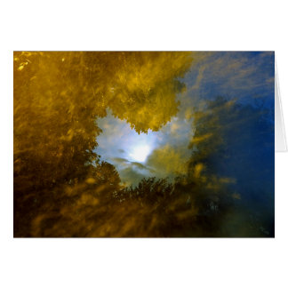 "トマスmoran閉鎖目視野"