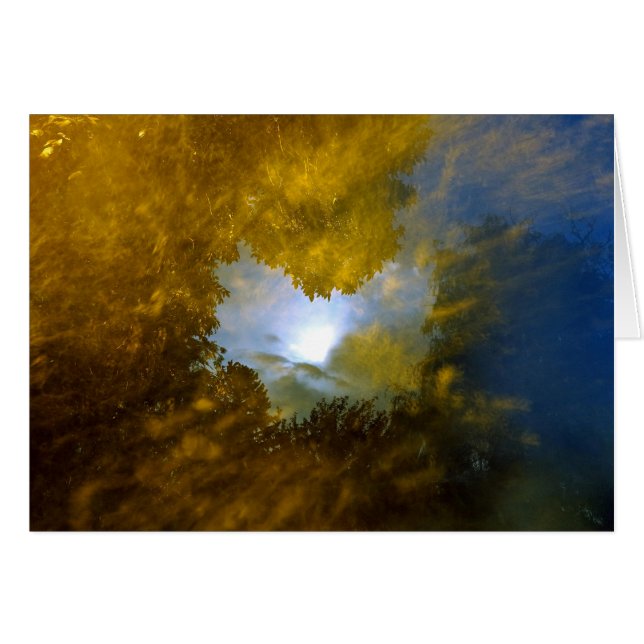 "トマスmoran閉鎖目視野" (正面横)